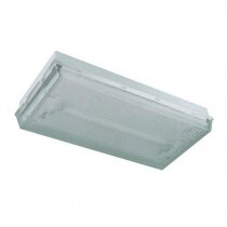 Slimline Bulkhead Emergency Luminaire Slave Unit - TP/SL