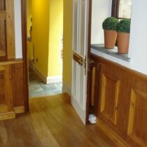 Geofire Salamander Wireless Door Holder System