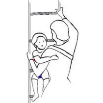 Emergency Infant Carrier