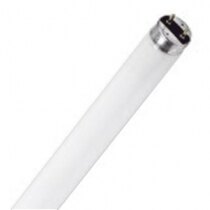 Emergency Lighting Fluorescent Tubes (T5)