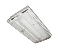 Emergency Light with Optional Hanging Blade - TPX