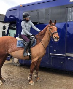 Evie and Daisy the Horse aka 'High Offley Business Centre'