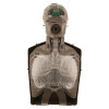 brayden im13 red cpr manikin red illumination showing the front internal components and structure
