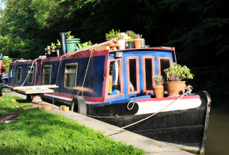 A moored Narrow boat with plants all around it