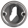briton euro profile escutcheon pair showing the back with keyhole opening and screw holes