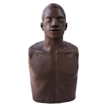 Front view of a brown training dummy torso showing the head and shoulders Brayden Obi Front