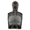 Brayden Advanced CPR Training Manikin - Dark Skin - Front Internal