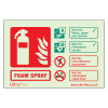 Red and green Csfrl Foam Fire Extinguisher Sign Landscape Front showing foam spray symbol and safety instructions