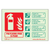 Cspbrl P50 Fluoro Free B Foam Fire Extinguisher Sign showing fire extinguisher icon and safety information on wood paper textiles and liquids