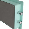 phoenix dream series mint showing two metal locking bolts extending from a pale green rectangular panel