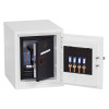 phoenix datacare 2001 electronic lock showing both internal and external doors open with keys hanging inside