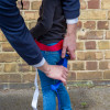 Hands tightening the straps of a paraid child carrier harness on a child against a brick wall background