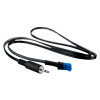 Front view of a hochiki programming leads cable with a black jack and blue connector on a white background