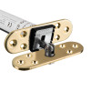 Close-up of the Fcast4003Bfr Astra 4003 Series Concealed Fire Door Closer with brass rounded front showing mounting holes and joint mechanism