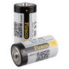 Two Fireco Replacement Batteries Dorgard 2 Pack showing label and positive terminal