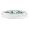 Side view of the apollo series 65 sav wire detector base showing its circular white frame and internal components