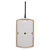 Back view of evacuator synergy rf sounder strobe site alarm showing antenna and casing details