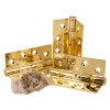 Set of three frisco ball bearing hinge brass with screws shown on a white background