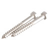 Two silver Hra2Cs Coach Screw Pair Front screws shown from the side on a white background
