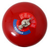 Side view of a 6kg automatic powder fire extinguisher showing the valve and label on a red rounded body