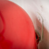 Close-up view of a fire extinguisher j bracket fixed to a wall with a red object partially visible next to it