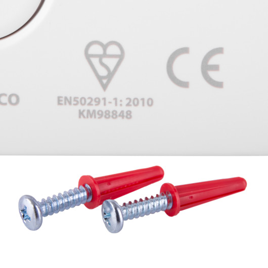 Close-up image showing screws and plugs suitable for wall mounting with red plastic plugs and silver screws