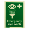 emergency eye wash sign portrait with text showing an eye with water spray and a medical cross on a green background front view