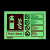 landscape glowing sign showing the types of fire a foam extinguisher can be used on