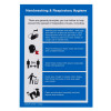 Front of a4 handwashing respiratory hygiene poster showing handwashing and hygiene instructions with icons