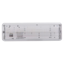 eden emergency lighting bulkhead slave unit shown from the front with a clear ribbed cover and white frame