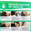 Top section of resuscitation of adults poster showing steps and images for initial response
