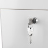 Close‑up of the anti‑arson mailbox lock with keys inserted