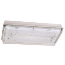 TP8 - Slimline Bulkhead Emergency Light