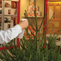 Fire Retardant Spray