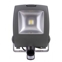 50W LED emergency floodlight with PIR sensor