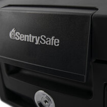 Replacement for the Sentry 1100 and Sentry H0100
