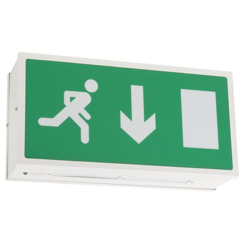 Double Sided Ceiling Mounted Fire Exit Sign Fire Exit Box With Self Test Eds St