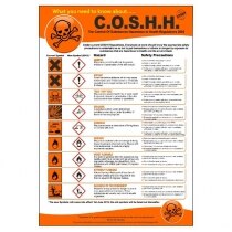 Image of the C.O.S.H.H. Regulations Poster