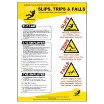 Image of the Preventing Slips, Trips and Falls Poster