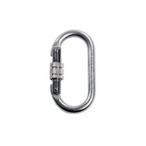 Image of the Steel Screwgate Karabiner