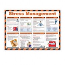 /templates_safelincs/shopimages/products/high/stress-poster_thumb_210.jpg