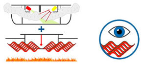 What are the Benefits of Combined Sensor Alarms