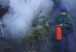 Water mist extinguisher Christmas tree demonstration